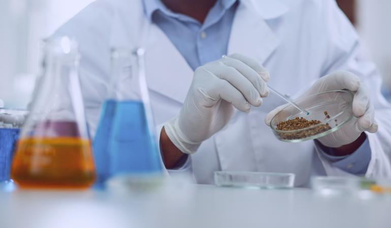 Analist werkt met petrischaal en erlenmeyers